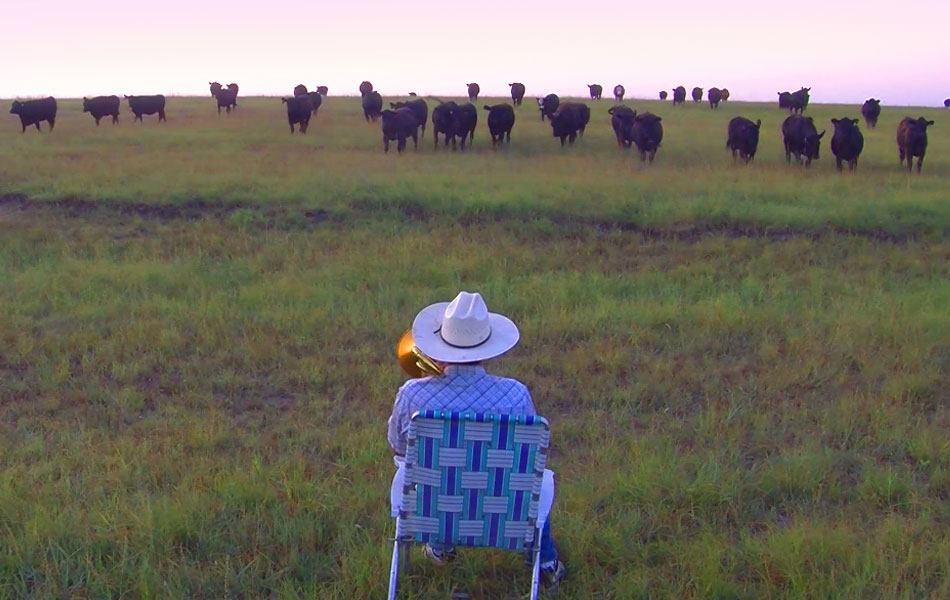 Farmer Plays His Trombone Until the Cows Come Home fascinately