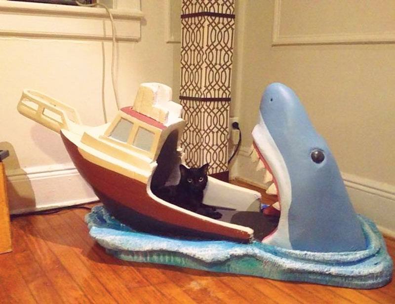 Whoa! There's a Shark in the Baby's Bed!