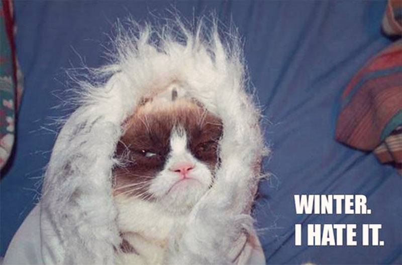 17 Emotions Only People Who Hate Winter Experience