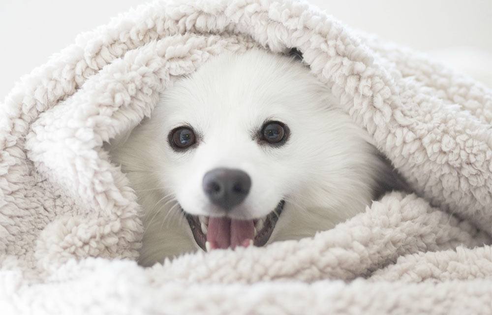 17 Emotions Only People Who Hate Winter Experience