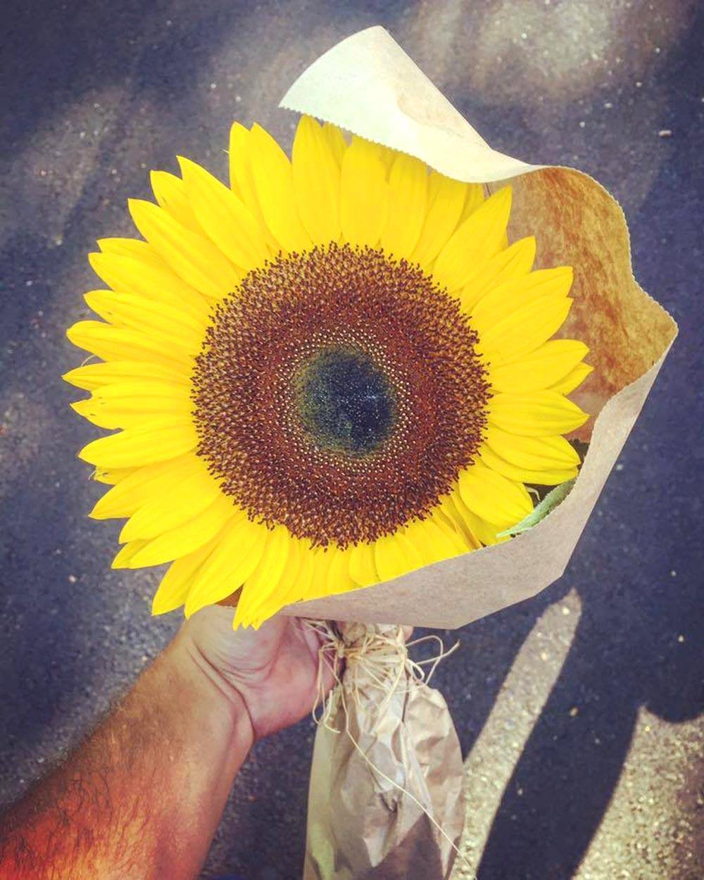 He Gave a Stronger a Sunflower Intended for Someone Else, it Changed His Life