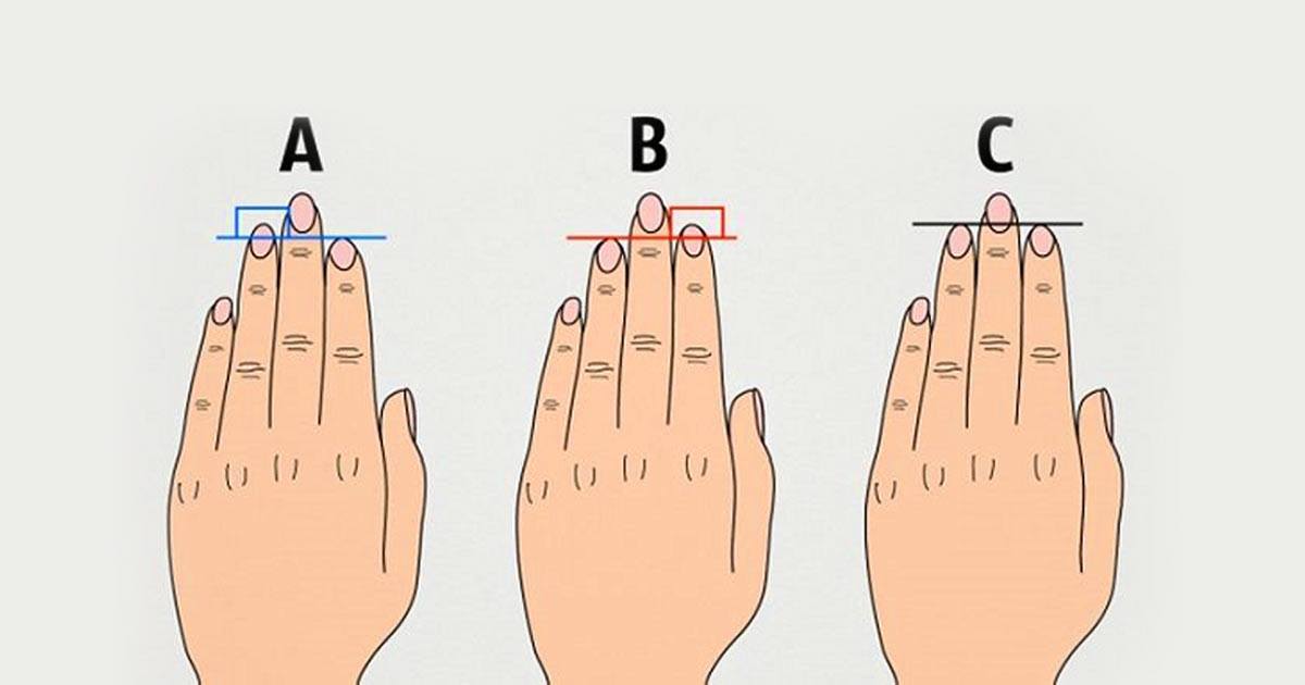 What Does Your Finger Length Reveal About Your Personality? fascinately